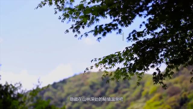 逃离荒凉的地方