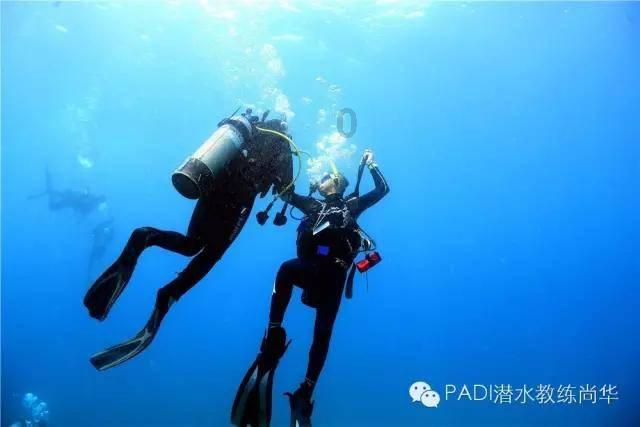 小猫钓鱼正版下载中文版